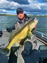 Zandartu makšķerēšana pēc nārsta - Jūnijā