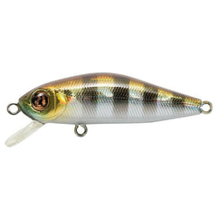 Pontoon 21 Crack Jack 58SP-MR