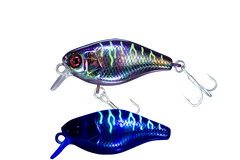 Jackall Chubby 38F SSR