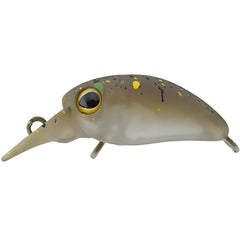 Timon Micro Panicra MR-SS ! NEW 2026 !