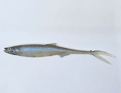 EVA BAITS Smelt V-Tail 20 cm