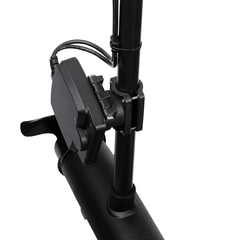 MEGA Live Sonar Transducer