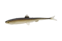 EVA Baits Vertical 17cm