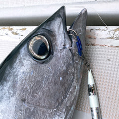 Varivas Avani Oceanworks Power Ring