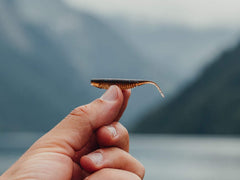 Jaeger NANO - Perch Soft Bait