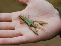 Jaeger PARA - Perch Soft Bait