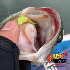 Varivas Wacky Master Heavy hooks