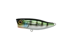 Jackall Chubby Popper 42