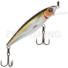 Vobleris Pontoon 21 GREEDY GUTS 111 SR-F