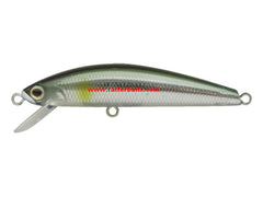 Jackson Trout Tune 55