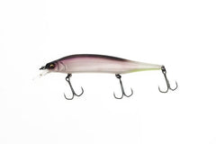 Megabass ITO SHINER-Wobbler-Megabass