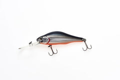 Zipbaits Khamsin 70 DR-Wobbler-ZipBaits