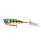 Daiwa Steez Popper 60F