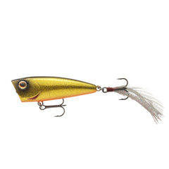 Daiwa Steez Popper 60F