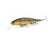 files/Aurora_Gold_Northern_Perch_c05320e0-bf09-461a-8b6e-8e9902d0a12e.jpg