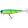 files/BLUEBACK_TIGER.webp