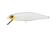 files/BONE.webp
