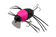 files/Chubby_Bug_Pink_Head.webp
