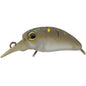Timon Micro Panicra MR-SS ! NEW 2026 !