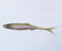 files/Eva_Baits_Smelt_V_Tail_20cm_White_Olive_Purple.jpg