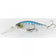 files/Glow_MS_Sardine.jpg
