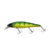 files/Gold_Skin_Perch_bc28e2e2-f5c3-4843-996e-a81987ecf1e4.jpg