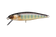 files/IWANA.webp