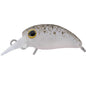 Timon Micro Panicra MR-SS ! NEW 2026 !