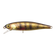 files/LIVLEY_PERCH.png
