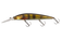 files/Livley_Perch.webp