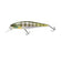 files/Natural_Bream.jpg