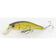 files/Northern_Pike.jpg