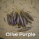 files/Olive_Purple_a29a5d4a-e646-4b2c-89f8-62a17ffce9e1.jpg