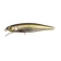 files/RT_TINY_BAITFISH.png
