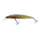 files/RT_TINY_BAITFISH.webp