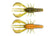 files/Super_perch_b00dca06-a093-4fa6-9015-97d1cb22c08c.webp