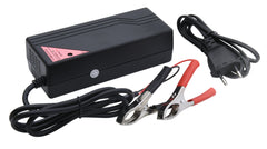 Ultramax LiFePO4 charger 12V 20A. Suitable for 60-200Ah 12V LiFePo4 batteries