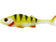 files/YELLOWPERCH.jpg