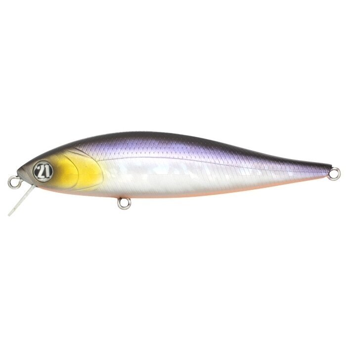 Pontoon21 Bet-A-Minnow  78SP-SR