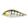 files/bet-a-shad-83sp-sr-007-1.jpg