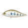files/bet-a-shad-83sp-sr-050-1.jpg
