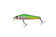 files/zipbaits-rigge-56fzipbaits-240571_a7d4f187-fe52-4c4e-8120-91a33aa09e30.jpg
