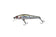 files/zipbaits-rigge-56fzipbaits-592609_8f7b5111-703c-4b2b-9304-4c7c5a3f3af8.jpg