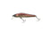 files/zipbaits-rigge-56fzipbaits-604121_171aa3a8-177e-4d35-83f3-d1b43596c890.jpg