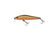 files/zipbaits-rigge-56spzipbaits-914715_32d60192-25bc-4353-a1ee-17feaf060afb.jpg
