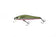 files/zipbaits-rigge-56szipbaits-423161_fce6af0a-49ae-4168-99e3-6be4e2bff933.jpg