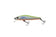 files/zipbaits-rigge-56szipbaits-655772_c7d218f0-08c9-46d9-9b7b-1f084af36d08.jpg