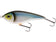 products/BLUEBACKHERRING.jpg