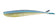 products/Lunker-City-fins-fish-233_1090a3e0-4d10-47d8-9701-514622fee43e.jpg