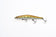 products/zipbaits-orbit-110spzipbaits-429850.jpg